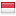 paztoindonesia.com hosted country